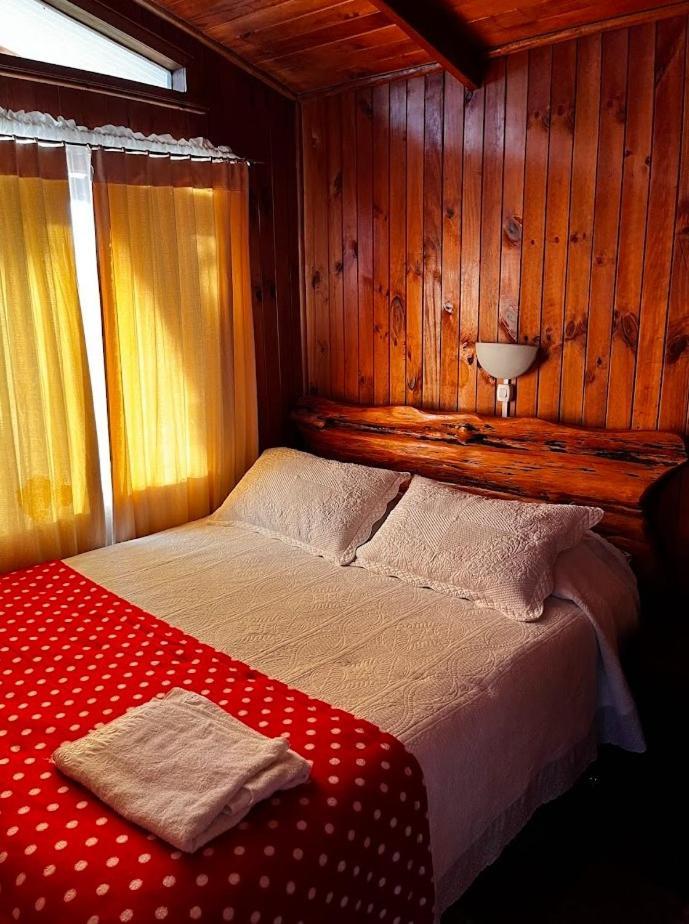 Don Sofanor * Puyehue